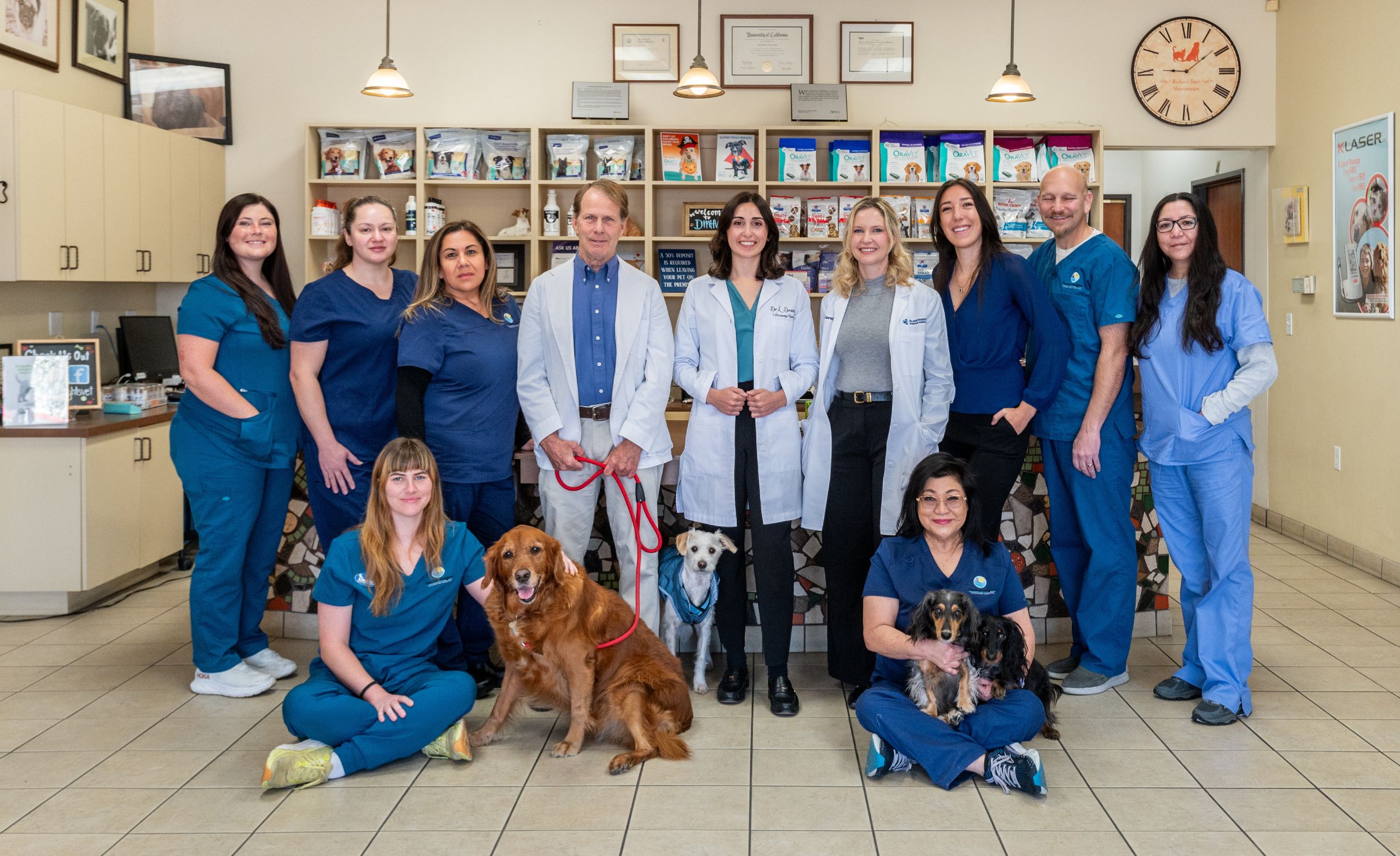 Del Mar Vet Team