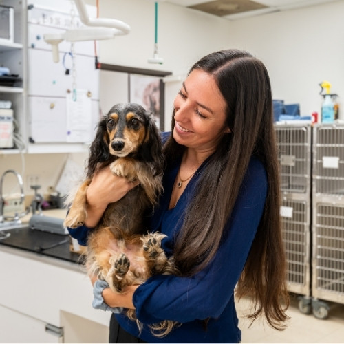 a vet staff embraces a dog in a veterinary office